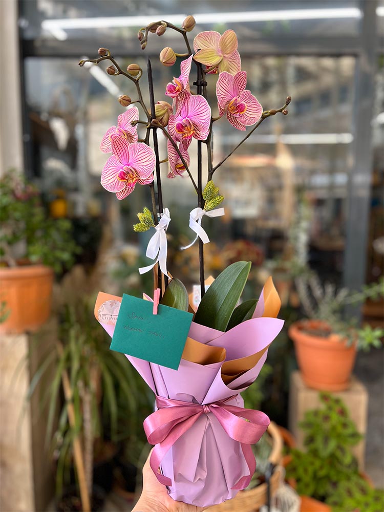 antalya sirin flower buketler aranjmanlar IMG